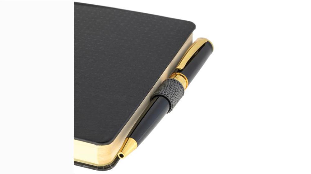 قلم گیر یوروپن